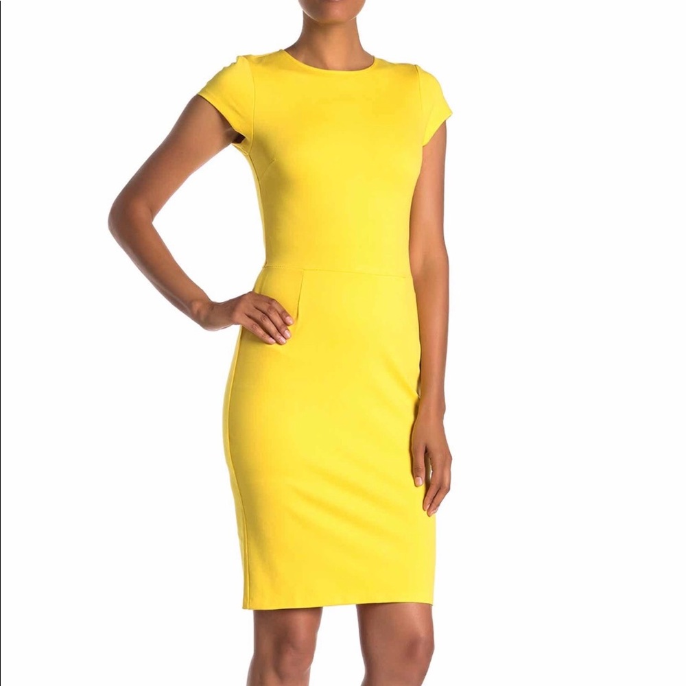 Solid Cap Sleeve Sheath Dress